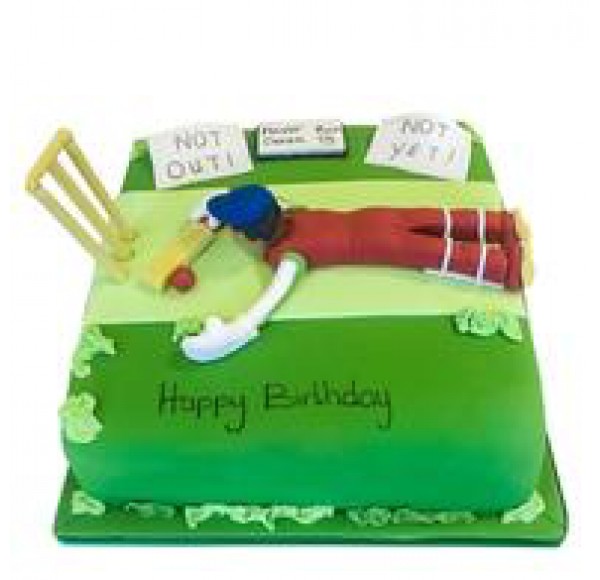 Delicious Cricket Themes Cake 