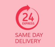 Same Day Delivery